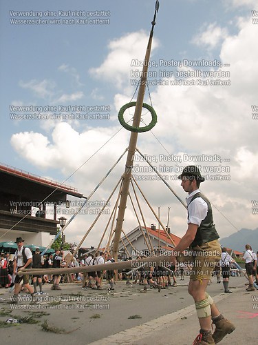 Rottauer Maibaum Q117