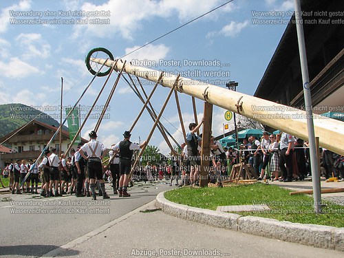 Rottauer Maibaum Q118