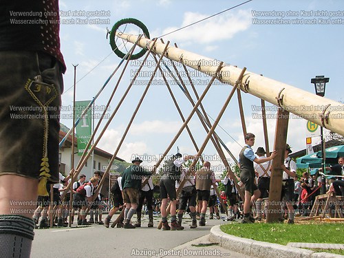 Rottauer Maibaum Q120