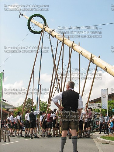 Rottauer Maibaum Q126
