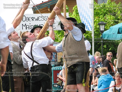 Rottauer Maibaum Q127