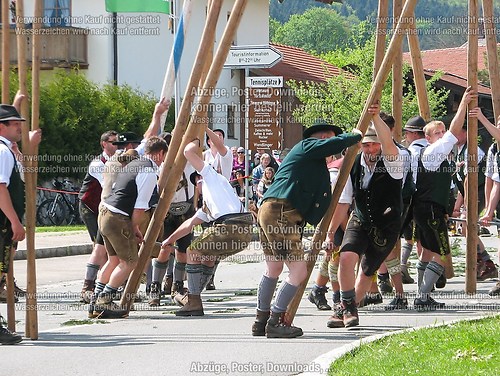 Rottauer Maibaum Q130