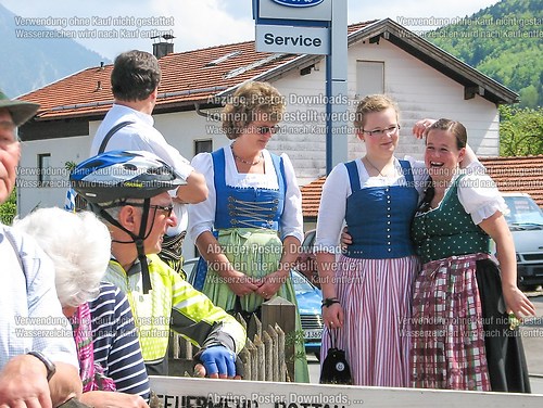Rottauer Maibaum Q131