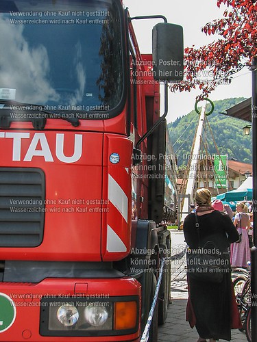 Rottauer Maibaum Q133