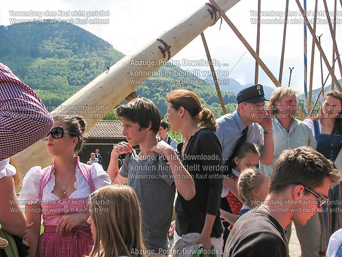 Rottauer Maibaum Q135
