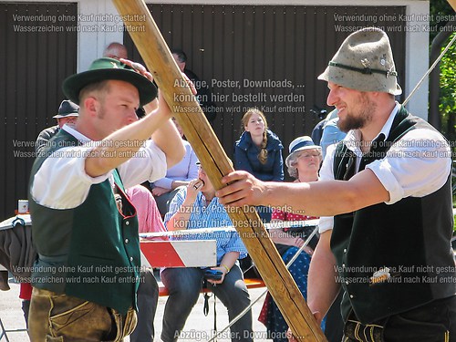 Rottauer Maibaum Q139