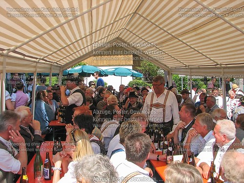 Rottauer Maibaum Q141