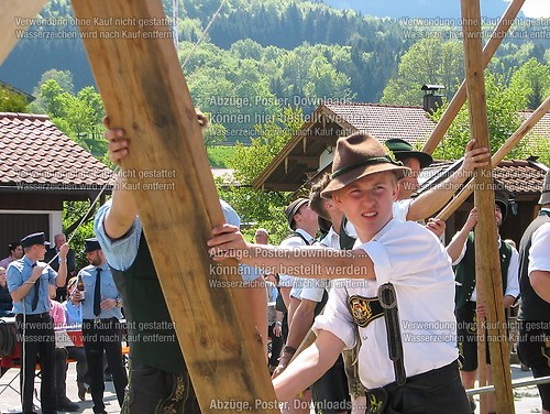 Rottauer Maibaum Q144