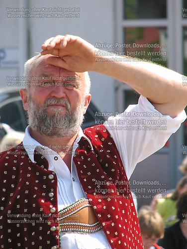 Rottauer Maibaum Q145
