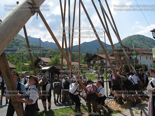 Rottauer Maibaum Q147