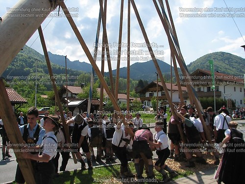 Rottauer Maibaum Q148