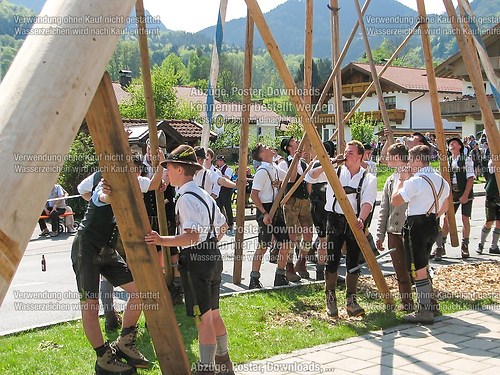 Rottauer Maibaum Q153