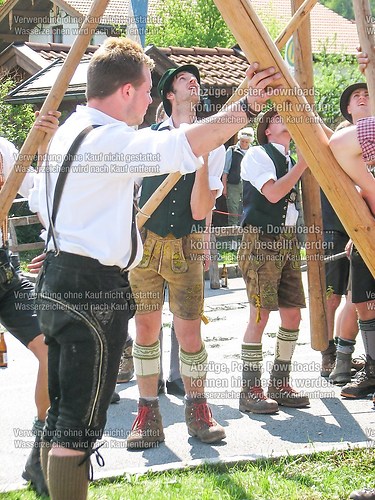 Rottauer Maibaum Q156