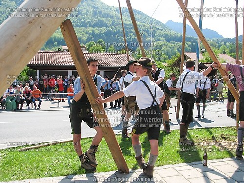 Rottauer Maibaum Q157