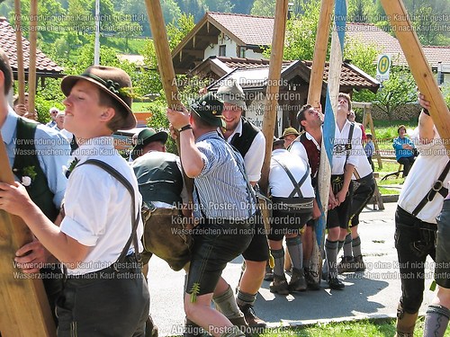 Rottauer Maibaum Q160