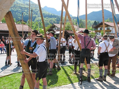 Rottauer Maibaum Q161