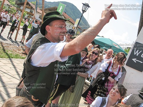 Rottauer Maibaum Q163