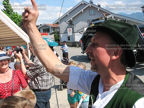 Rottauer Maibaum Q168