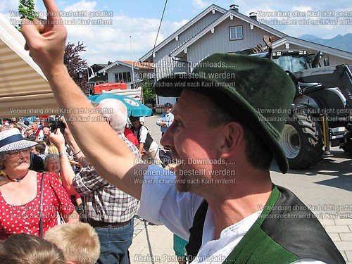Rottauer Maibaum Q169