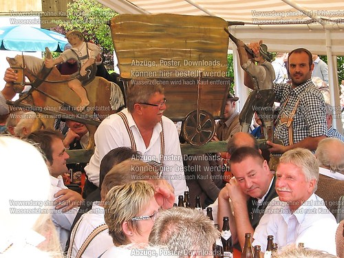 Rottauer Maibaum Q171