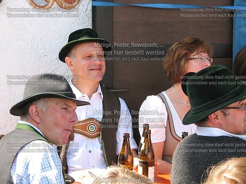 Rottauer Maibaum Q172