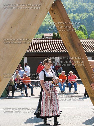 Rottauer Maibaum Q177