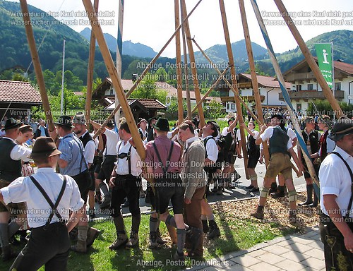 Rottauer Maibaum Q181