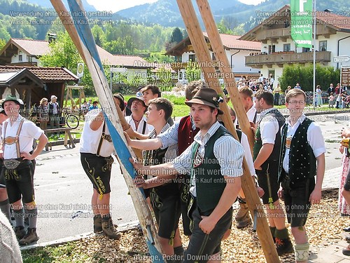 Rottauer Maibaum Q186