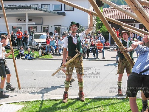 Rottauer Maibaum Q187