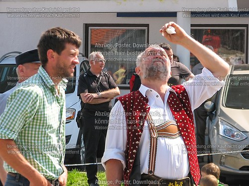 Rottauer Maibaum Q189
