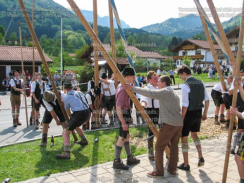 Rottauer Maibaum Q190