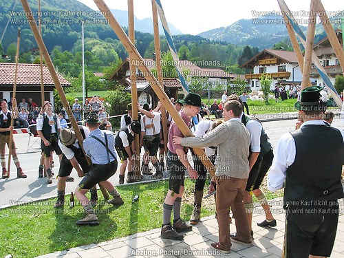 Rottauer Maibaum Q191