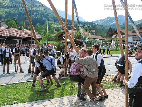 Rottauer Maibaum Q193