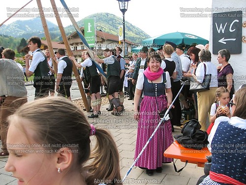 Rottauer Maibaum Q194
