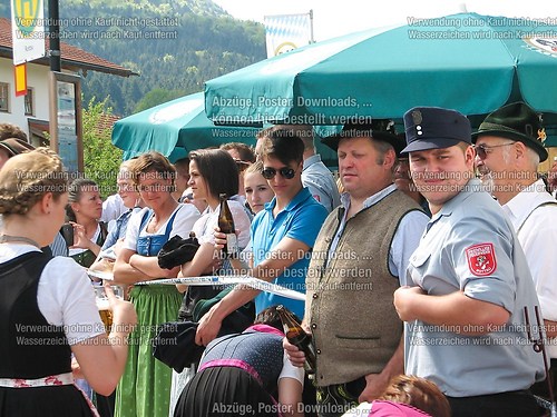 Rottauer Maibaum Q195