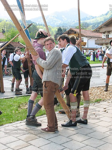 Rottauer Maibaum Q197