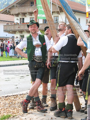Rottauer Maibaum Q198