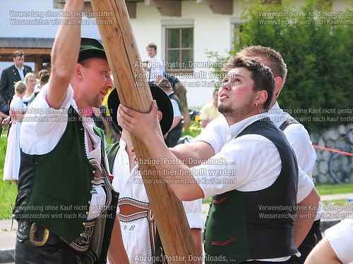 Rottauer Maibaum Q199