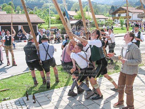 Rottauer Maibaum Q211