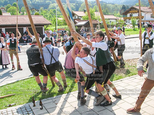 Rottauer Maibaum Q212