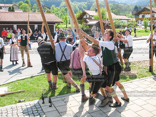 Rottauer Maibaum Q213
