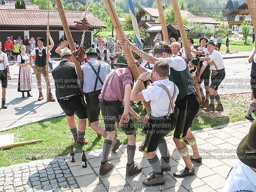 Rottauer Maibaum Q214