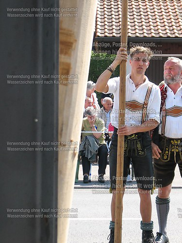 Rottauer Maibaum Q215