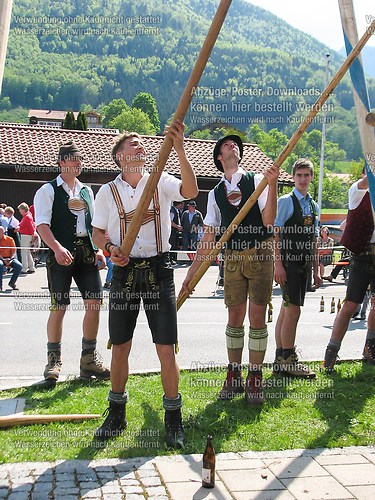 Rottauer Maibaum Q216