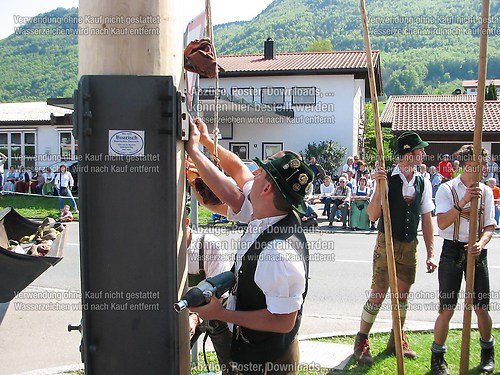 Rottauer Maibaum Q219