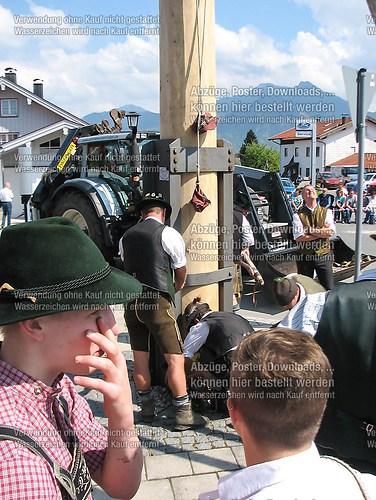 Rottauer Maibaum Q221