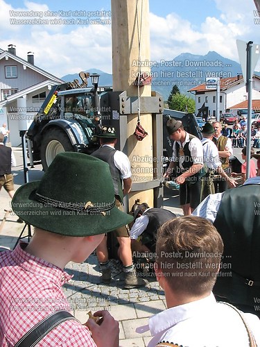 Rottauer Maibaum Q222