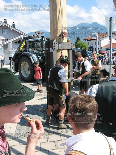 Rottauer Maibaum Q223