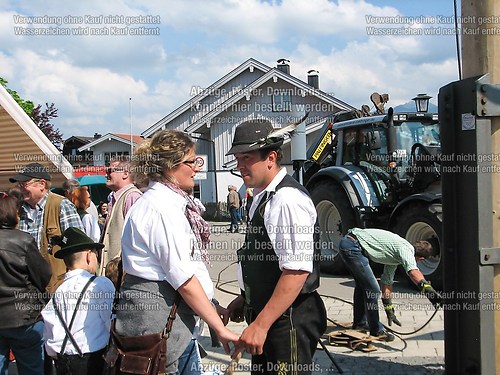 Rottauer Maibaum Q228
