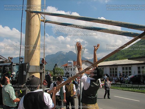 Rottauer Maibaum Q231